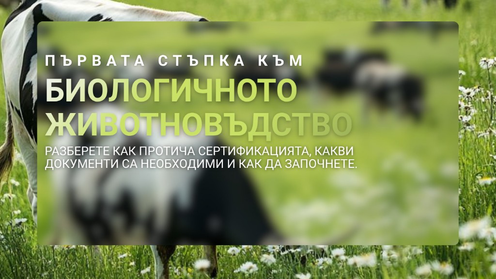 Първата стъпка към биологичното животновъдство